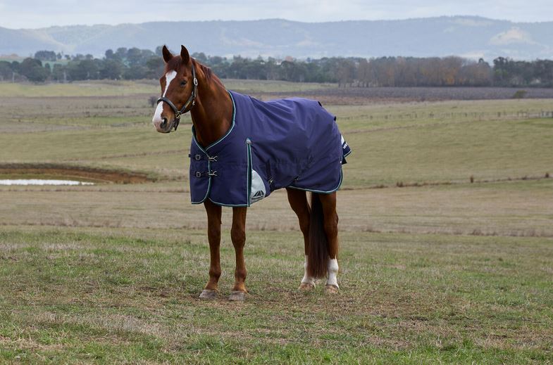 WeatherBeeta ComFiTec Plus Dynamic Turnout Standard Neck 220G