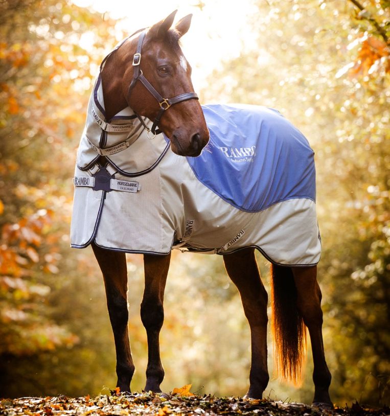 Horseware Rambo Autumn Series