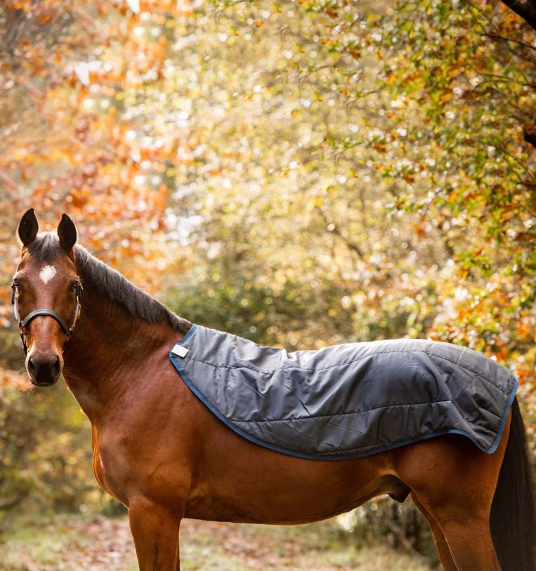 Horseware Rambo Autumn Series