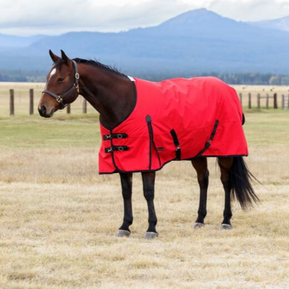 WeatherBeeta ComFiTec Original Turnout Standard Neck 0G