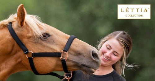 Lettia Rosegold Breakaway Halter