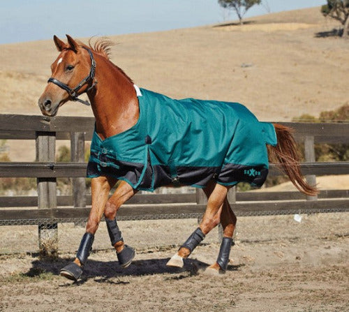 Saxon 1200D With Gusset Standard Neck Lite II Turnout CLOSEOUT