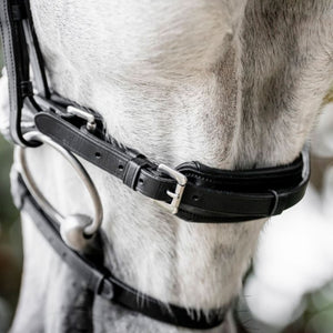 Horseware Diamante Flash Bridle