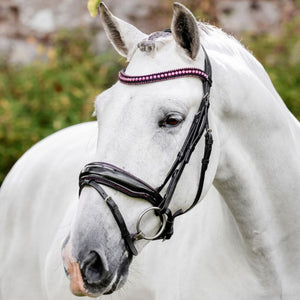 Horseware Diamante Flash Bridle