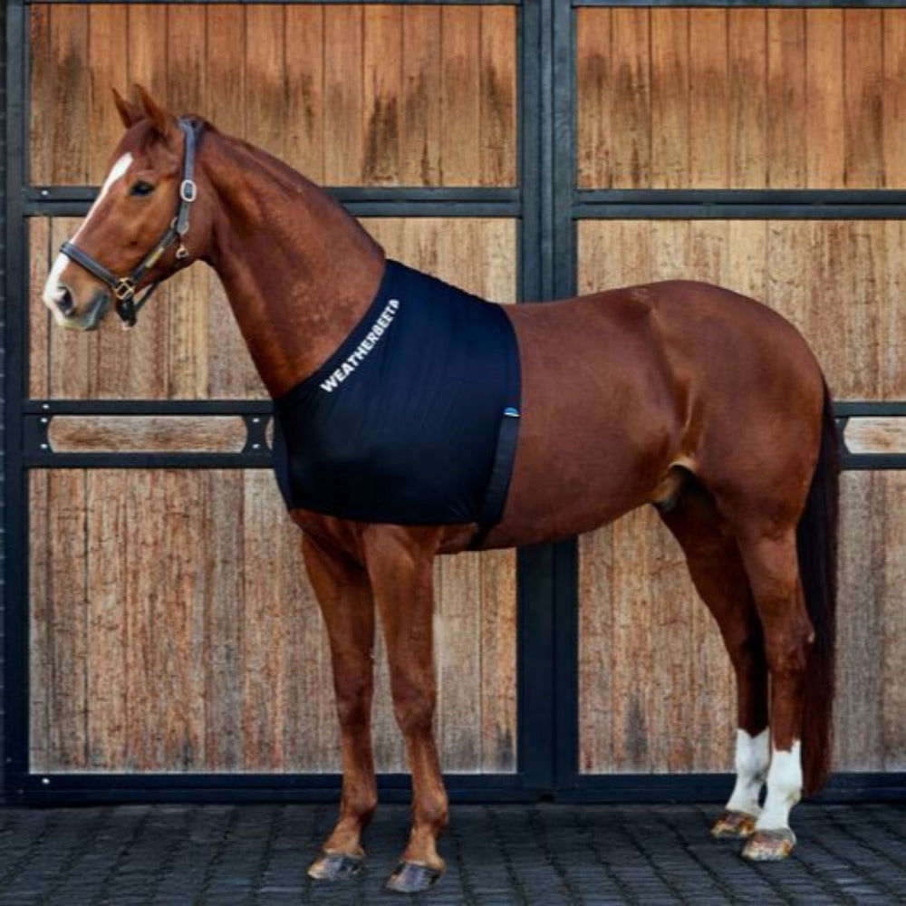 WeatherBeeta Stretch Shoulder Guard - The Carousel Horse 