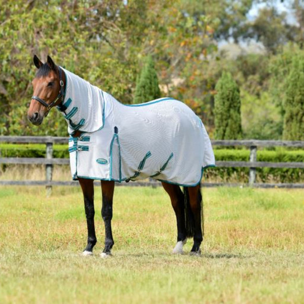 WEATHERBEETA Comfitec Zephyr Plus Mesh Combo Neck Horse Fly Sheet