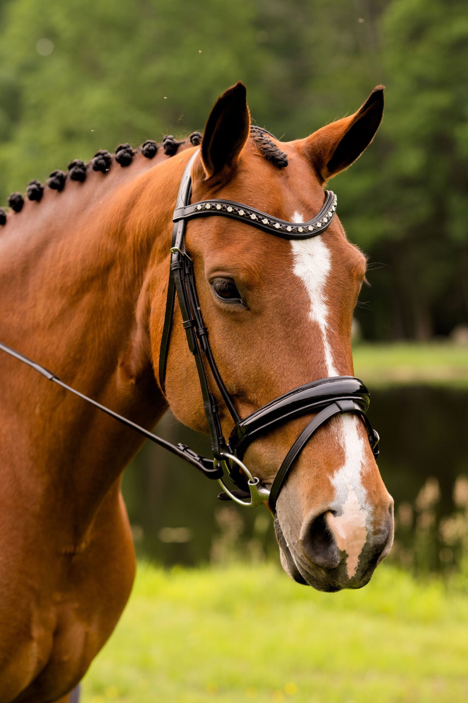 KL Select Red Barn Stride Dressage Bridle