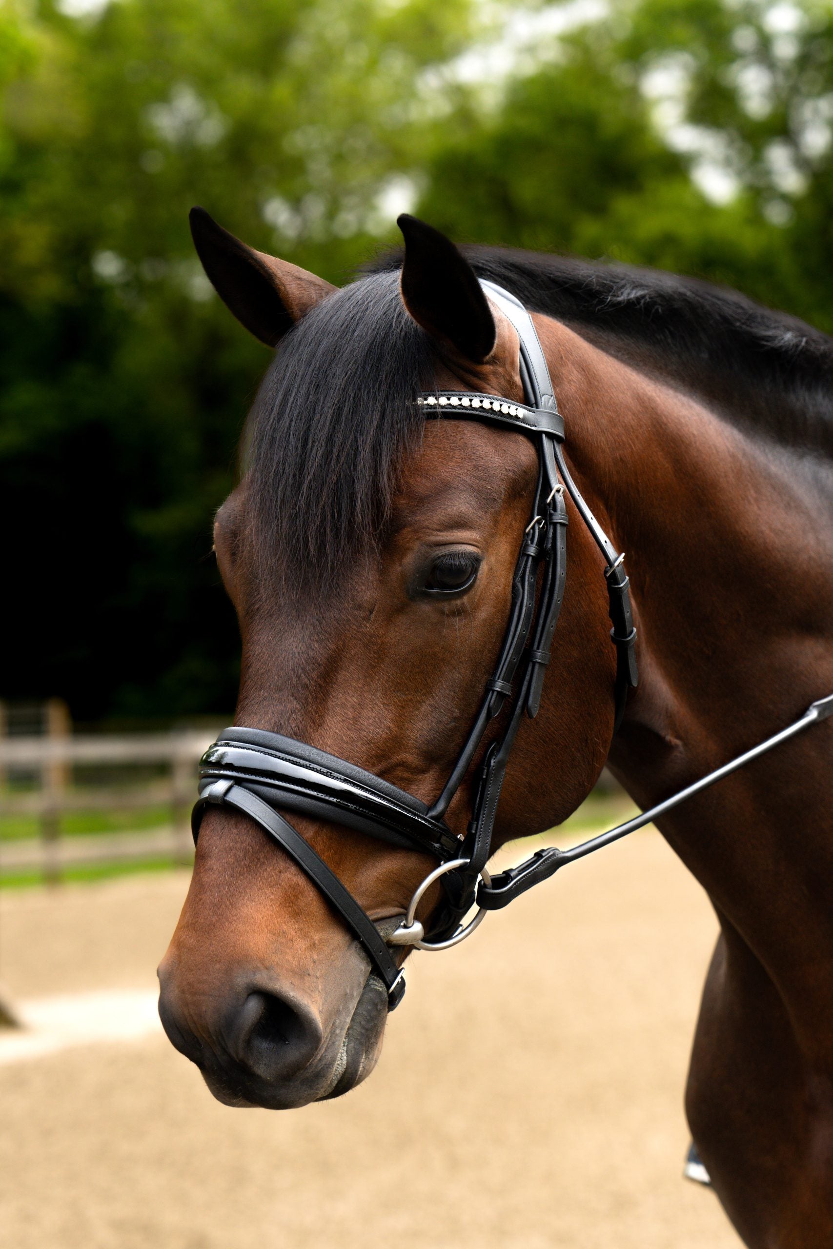 KL Select Flexion Bridle in Patent Leather