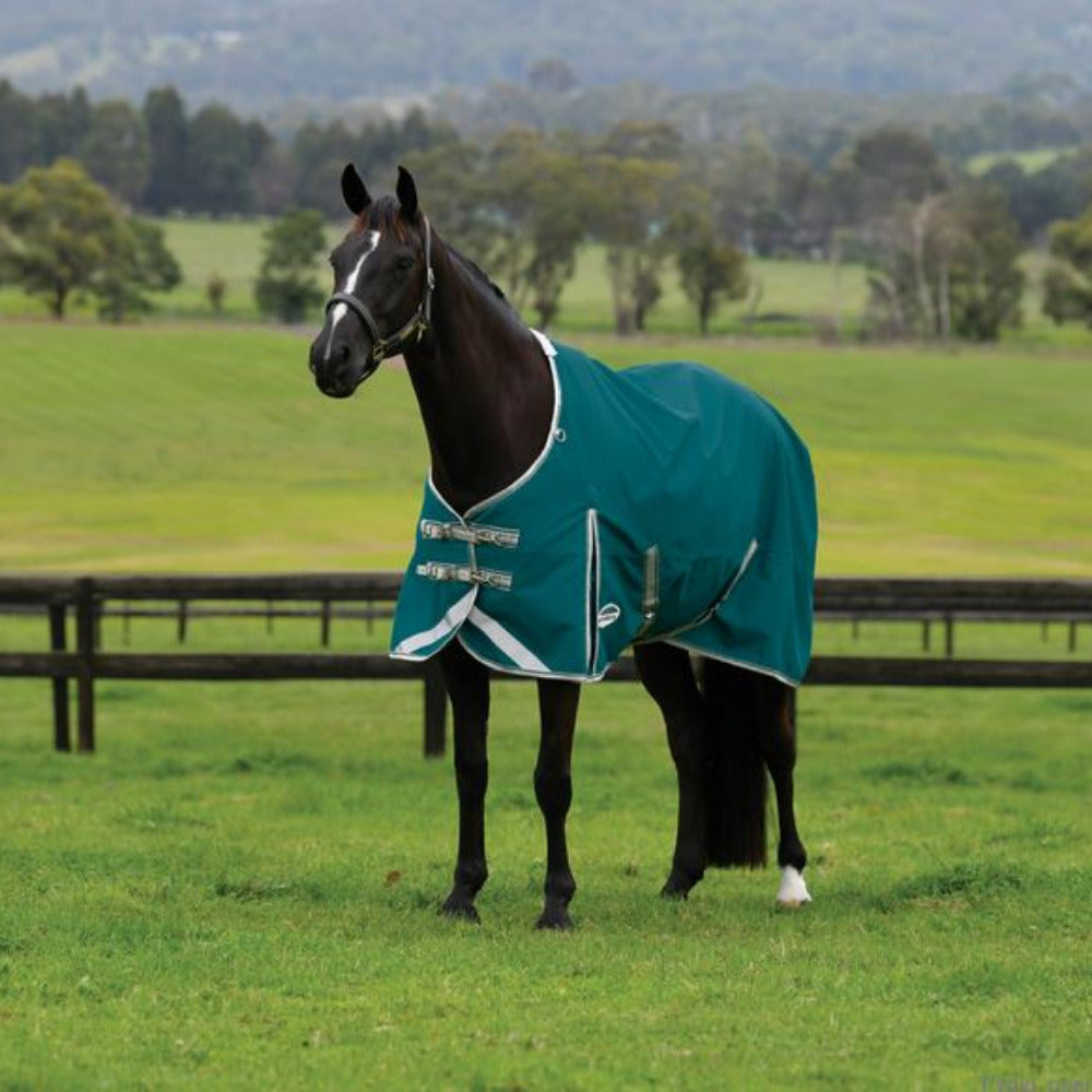 Weatherbeeta Comfitec Plus Dynamic II Standard Neck Turnout Lite