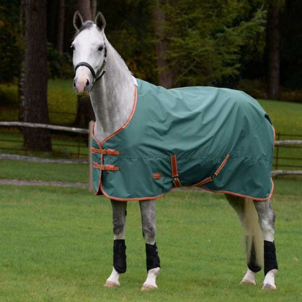 Weatherbeeta ComFiTec Tyro Standard Neck Lite Plus
