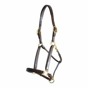 Personalized Padded Leather Halter - CarouselHorseTack.com