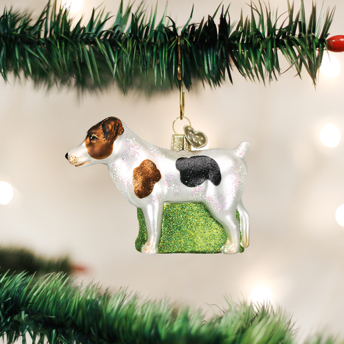 Old World Christmas Jack Russell Terrier Glass Ornament