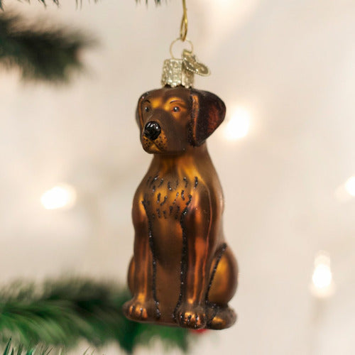 Old World Christmas Chocolate Labrador Glass Ornament