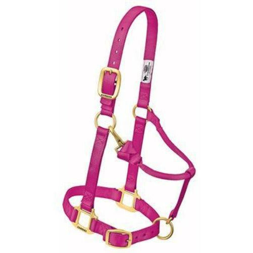 Weaver Original Adjustable Chin and Throat Snap Halter - CarouselHorseTack.com