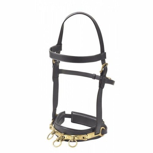 Camelot Leather Lunging Cavesson - CarouselHorseTack.com
