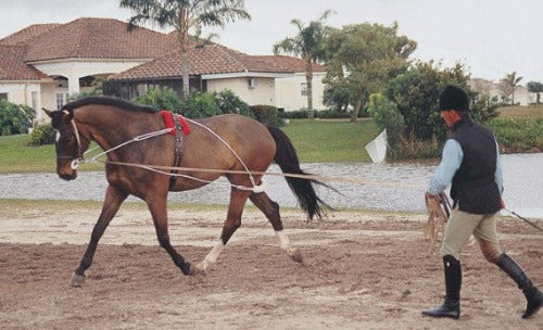 Pessoa Lunging System