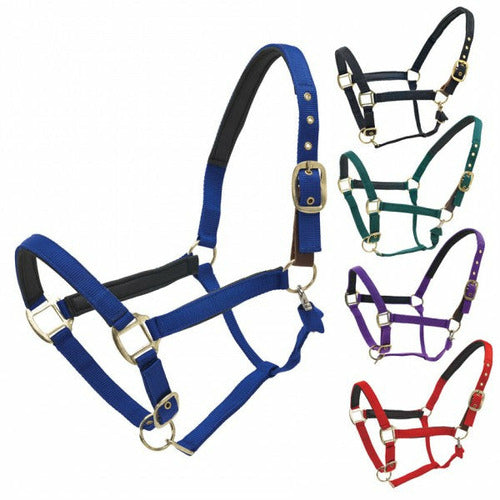Centaur Super Comfort Breakaway Halter