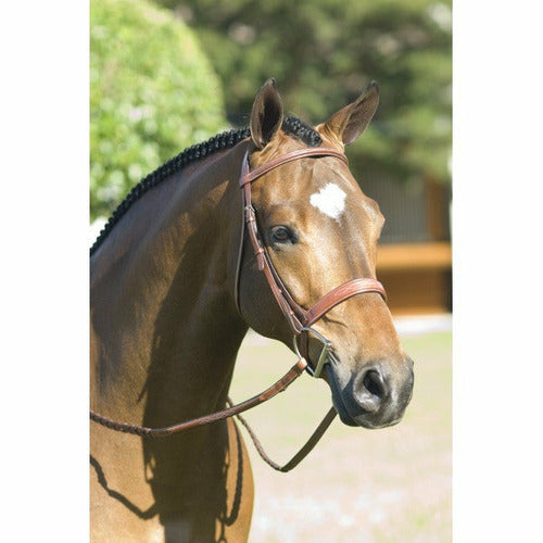 Rodrigo Pessoa Fancy Wide Show Bridle w Raised Laced Reins - CarouselHorseTack.com