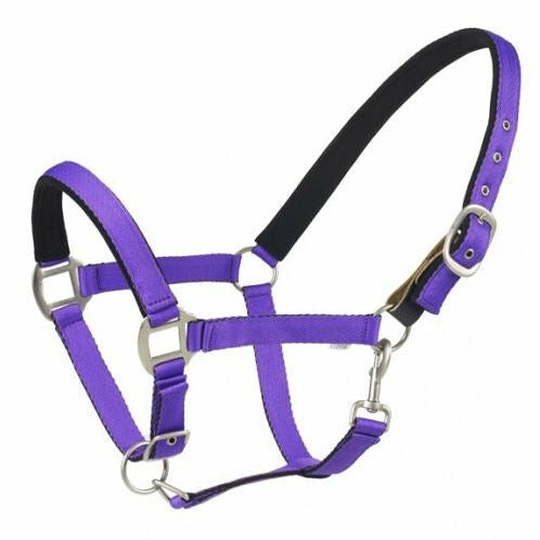 Centaur Solid Cushion Padded Breakaway Halter