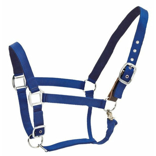 Centaur Solid Cushion Padded Breakaway Halter