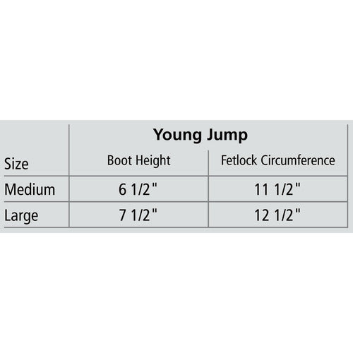 Veredus Young Jump VENTO Boots - CarouselHorseTack.com