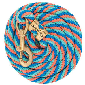 Weaver 10' Poly Lead Rope with Solid Brass Snap - CarouselHorseTack.com