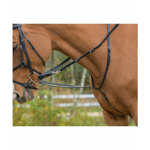 Shires Avignon German Martingale