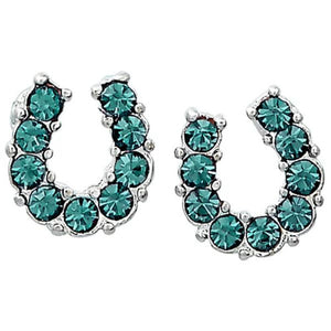 AWST Int'l Rhinestone Horseshoe Earrings w/Horse Head Gift Box