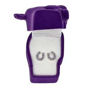 AWST Int'l Rhinestone Horseshoe Earrings w/Horse Head Gift Box