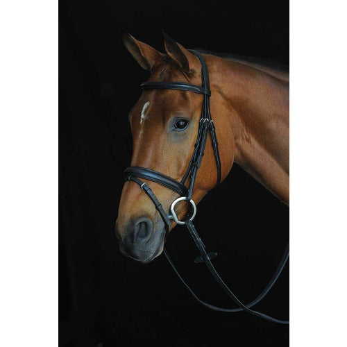 Collegiate Comfort Crown Padded Raised Flash Bridle