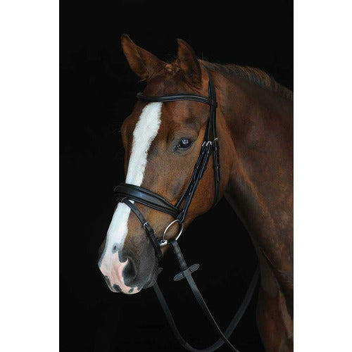 Collegiate Mono Crown Padded Raised Flash Bridle CLOSEOUT