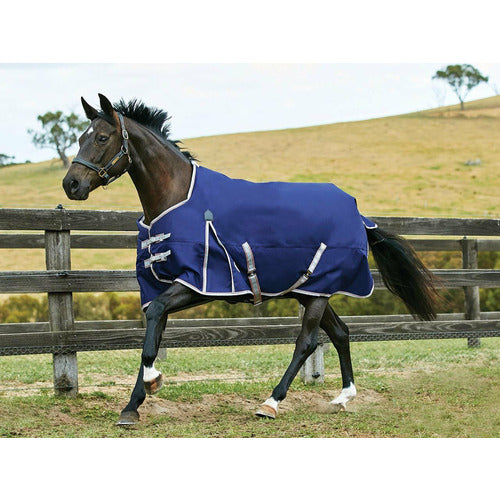 WeatherBeeta ComFiTec Essential Standard Neck Heavy Turnout SALE - CarouselHorseTack.com