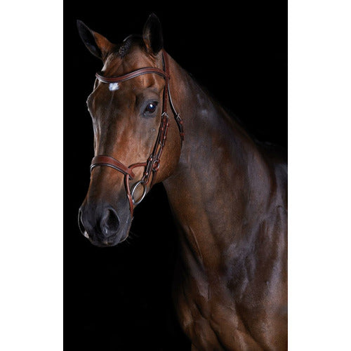 Collegiate Comfitec Training Bridle