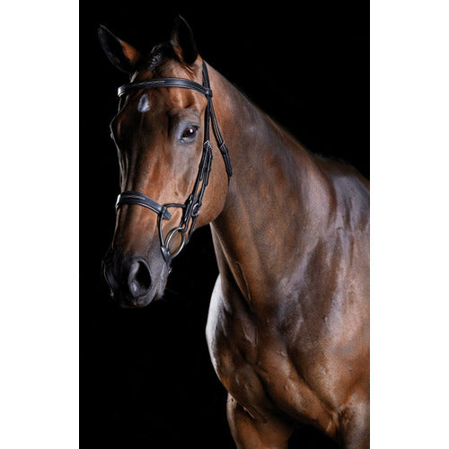 Collegiate Comfitec Fancy Stitch Bridle