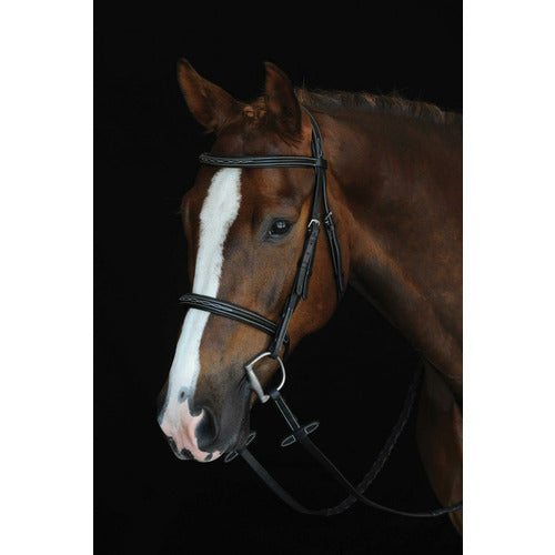 Collegiate Mono Crown Fancy Stitched Raised Cavesson Bridle