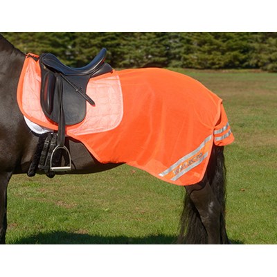 Shires EQUI-FLECTOR Mesh Exercise Sheet