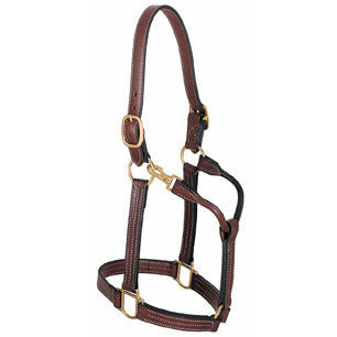Weaver Leather Thoroughbred Horse Halter with Snap - CarouselHorseTack.com