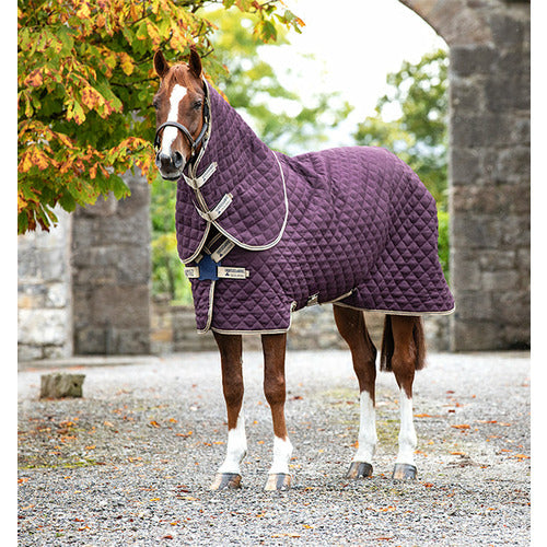 Horseware Amigo Stable Plus-Disc Front Closure Medium 200g CLOSEOUT