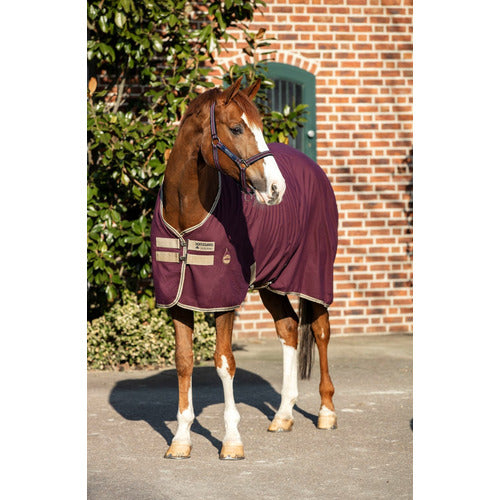 Horseware Amigo Stable Sheet CLOSEOUT