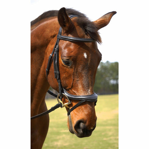 Nunn Finer Aformadi Flash Bridle