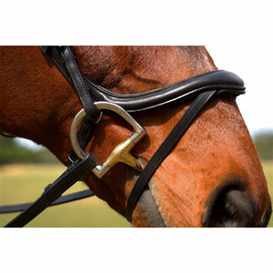 Nunn Finer Aformadi Flash Bridle