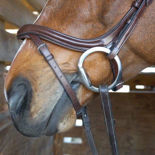 Nunn Finer Aformadi Flash Bridle