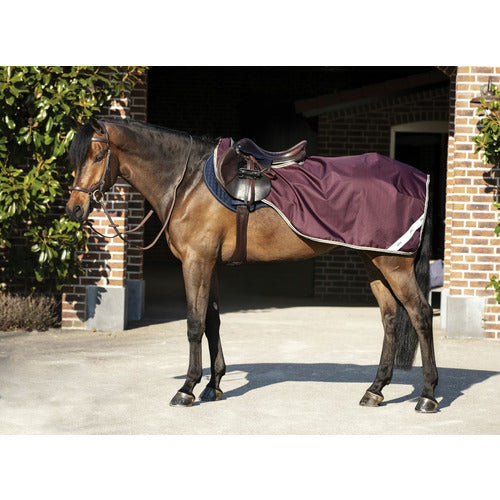 Horseware Amigo Ripstop Competition Sheet CLOSEOUT