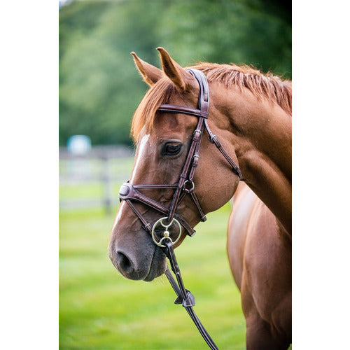 Nunn Finer Arianna Figure 8 Bridle