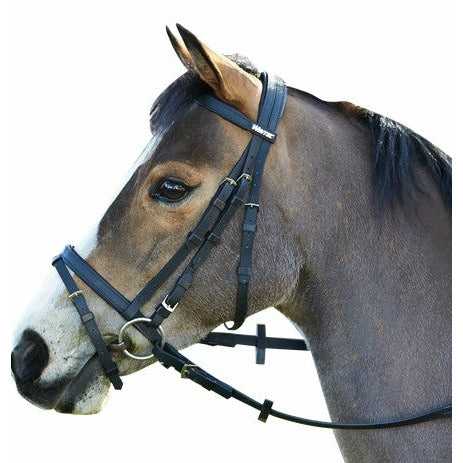 Wintec Bridle with Flash Black