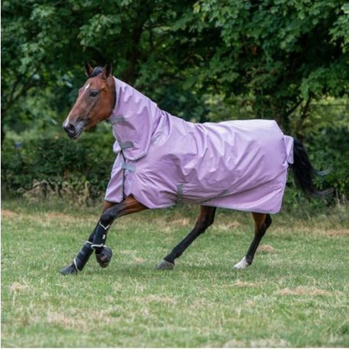 Mange slave Ambient Bucas Freedom Fly Sheet - The Carousel Horse