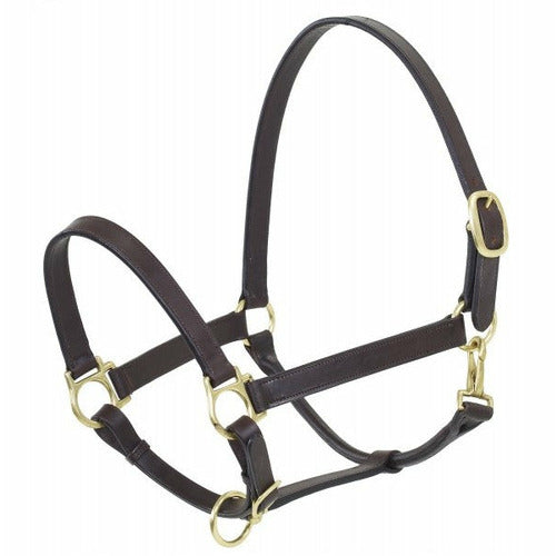 Camlot Leather Stable Halter