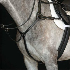 Collegiate 5-Point Breastplate IV