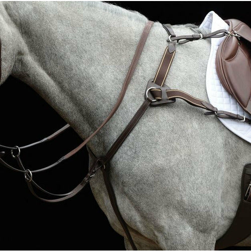 Collegiate 5-Point Breastplate IV