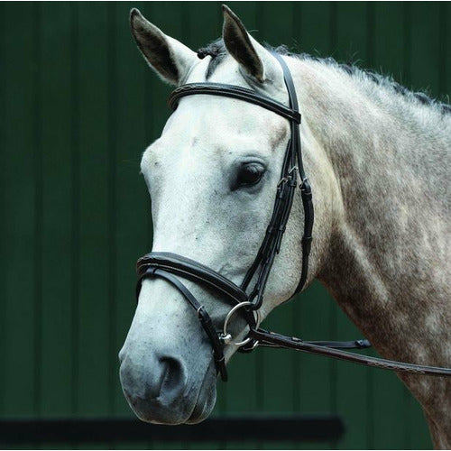 Collegiate Essential Padded Raised Fancy Stitched Flash Bridle